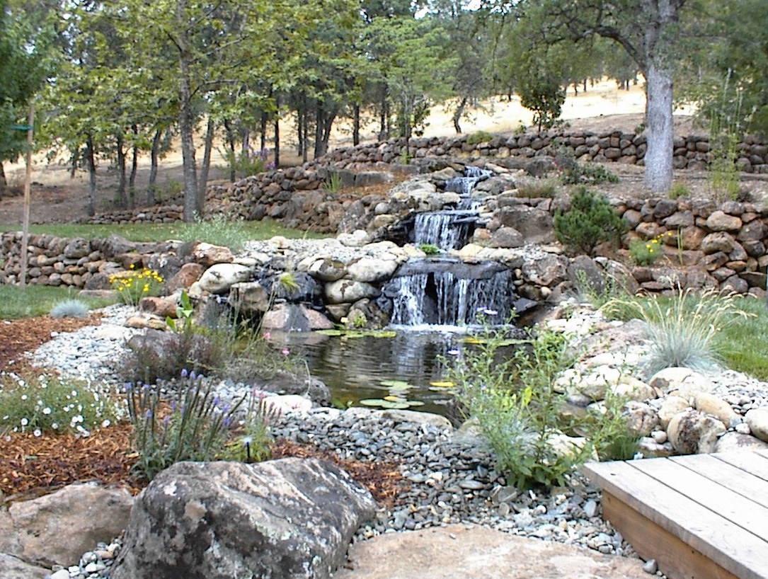 Backyard waterfall and koi pond with stacked stone walls, water lilies, and oak trees in a sunlit rural landscape